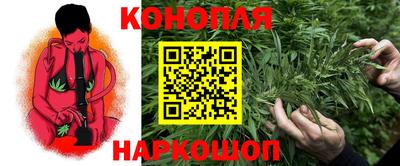гидропоника Тара