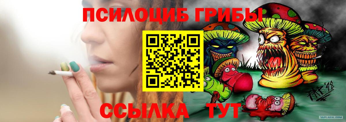 Псилоцибиновые грибы MAGIC MUSHROOMS  Галлюциногенные грибы MAGIC MUSHROOMS  Оренбург  Вход с VPN 