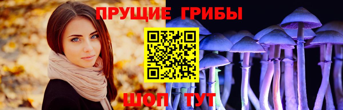 Псилоцибиновые грибы Magic Shrooms Оренбург